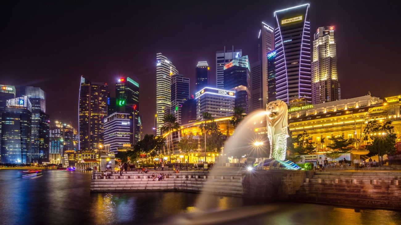 bird nest singapore